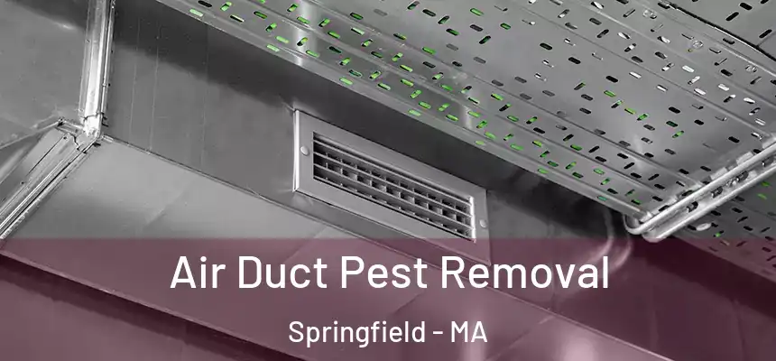 Air Duct Pest Removal Springfield - MA