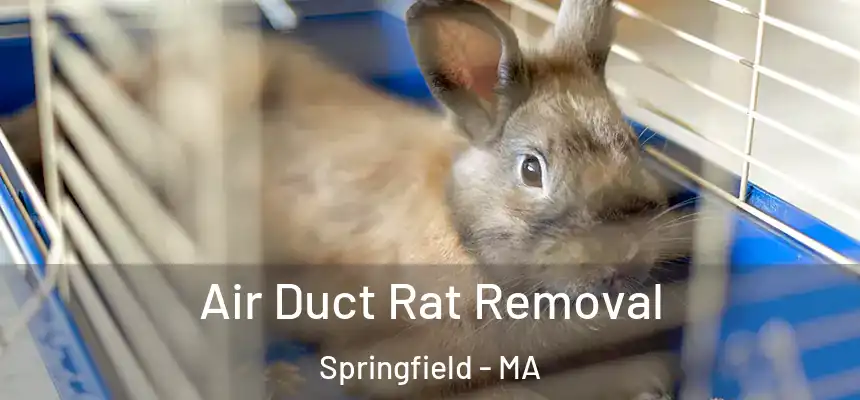 Air Duct Rat Removal Springfield - MA