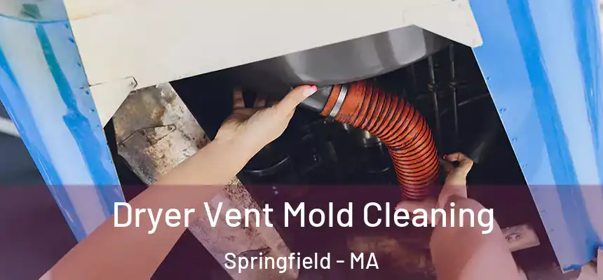Dryer Vent Mold Cleaning Springfield - MA