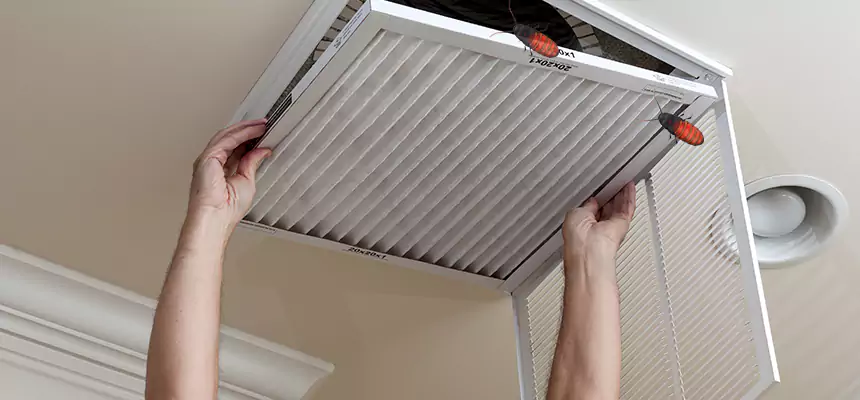 Our Insect Removal from Air Ducts Services in Springfield, MA