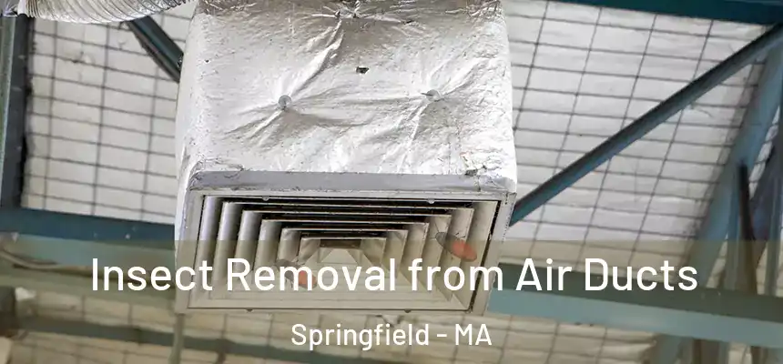 Insect Removal from Air Ducts Springfield - MA