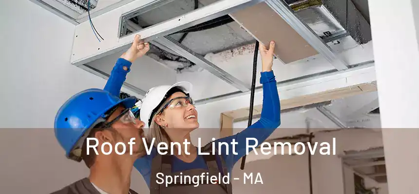 Roof Vent Lint Removal Springfield - MA