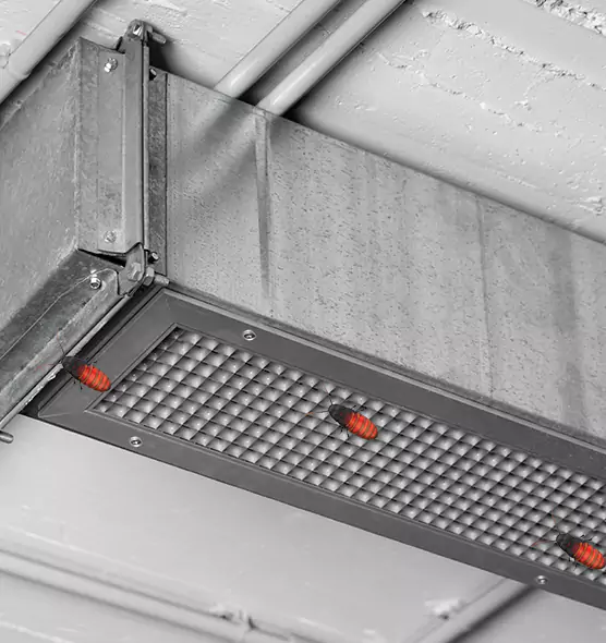 About Air Duct Cockroach Removal in Springfield, MA
