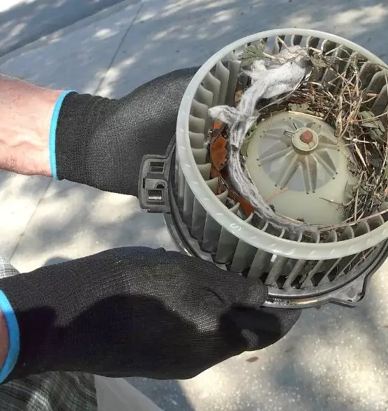 About Air Duct Mice Removal in Springfield, MA