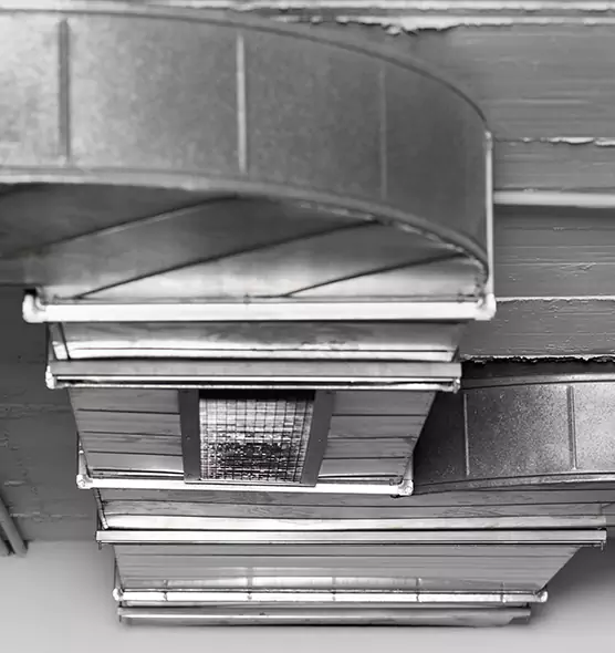 Professional Air Duct Pest Removal in Springfield, MA