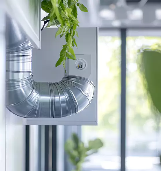 Professional Eco-Friendly Duct Cleaning Services in Springfield, MA