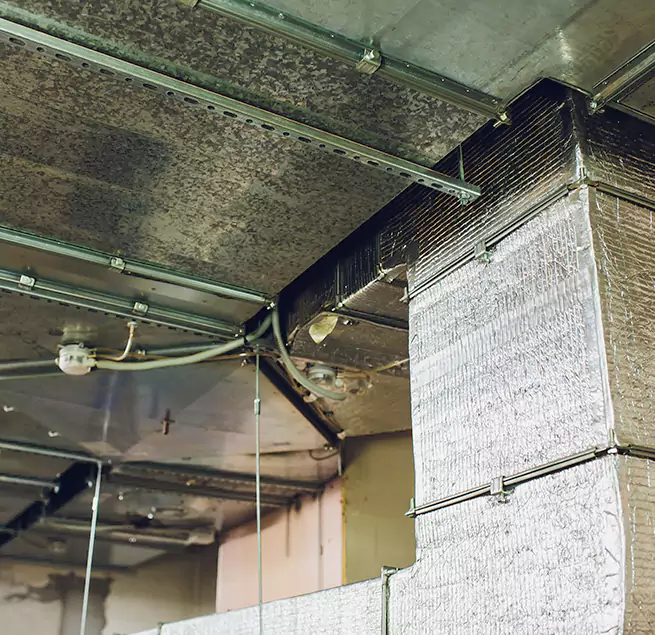 Why Homeowners & Businesses Trust Us in Springfield, MA?