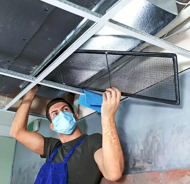 Why Homeowners Businesses Trust Us in Springfield, MA